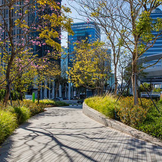 濱海廊橋工程園建工程標段2（B地塊－E地塊）