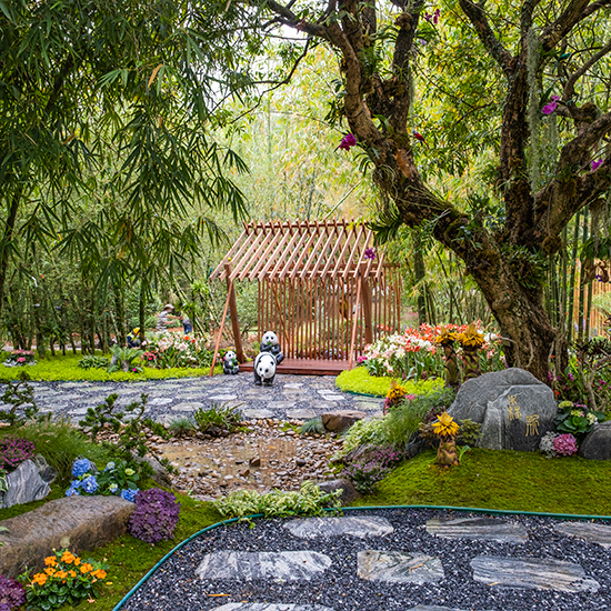 2022 粵港澳大灣區(qū)深圳花展 - 森斯環(huán)境參展項(xiàng)目“森生不息”花園