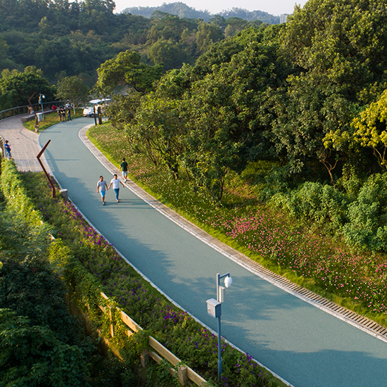 龍華新區環城綠道建設項目（大水坑段）—勘察、設計、施工項目總承包（EPC）