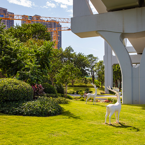 光明區軌道 6 號線綠化恢復項目一光明大道段、高架公園