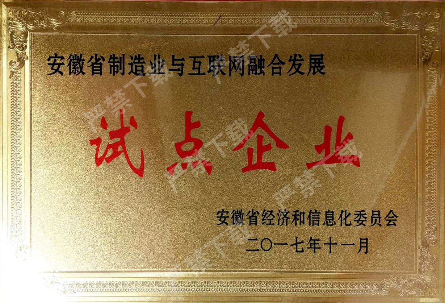 安徽省制造業(yè)與互聯(lián)網(wǎng)融合發(fā)展試點(diǎn)企業(yè)